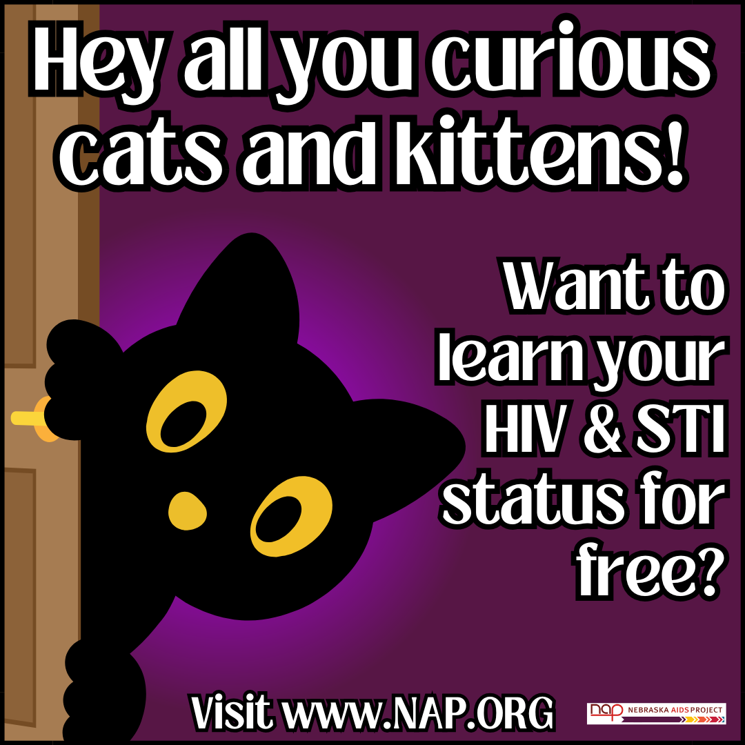 Hey all you curious cats and kittens